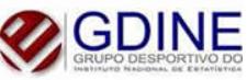 GDINE - Grupo Desportivo do Instituto Nacional de Estat�stica